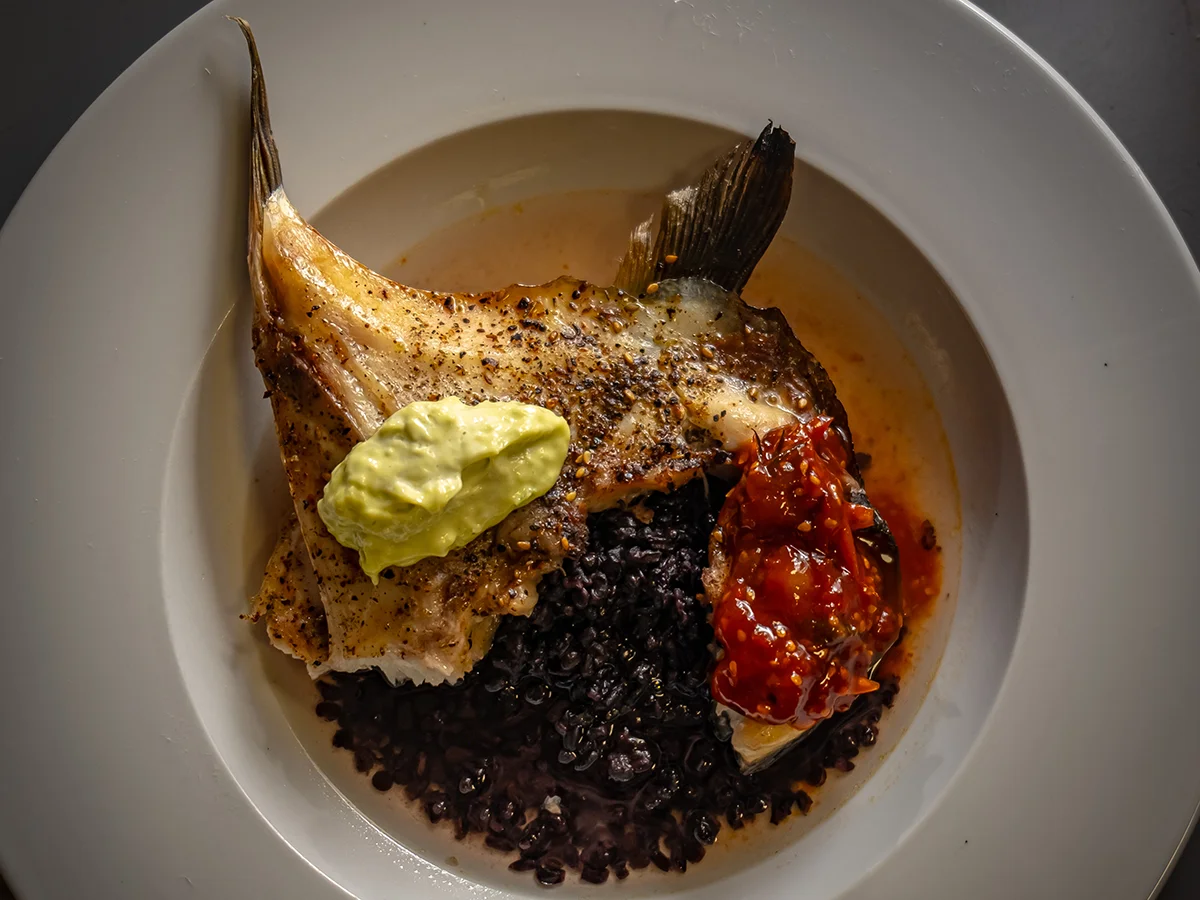 Roasted hamachi collars with black rice, tomato jam, preserved lemon broth, and green garlic aioli — Amilinda Milwaukee